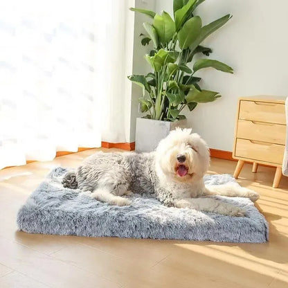 Plush Pooch Bed