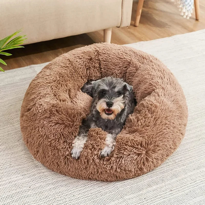 15% OFF! Donut Pet Bed - Small Sizes