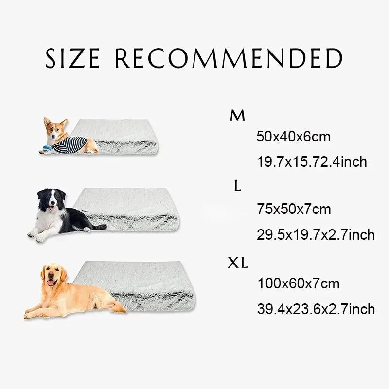 Plush Pooch Bed