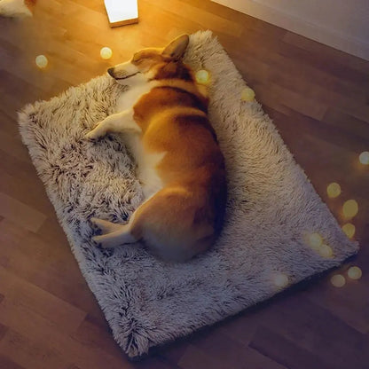 Plush Pooch Bed