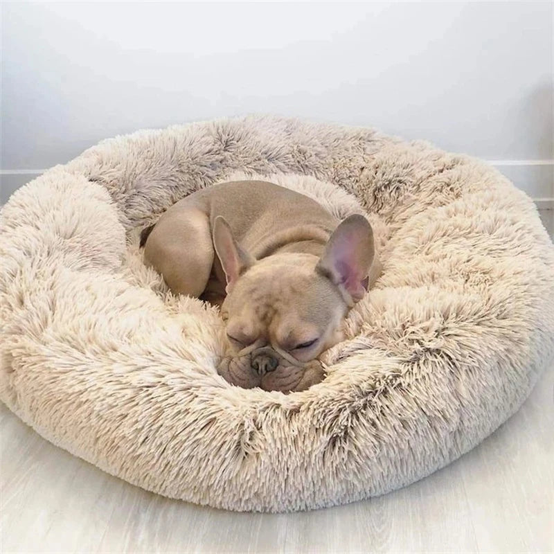 Donut Pet Bed