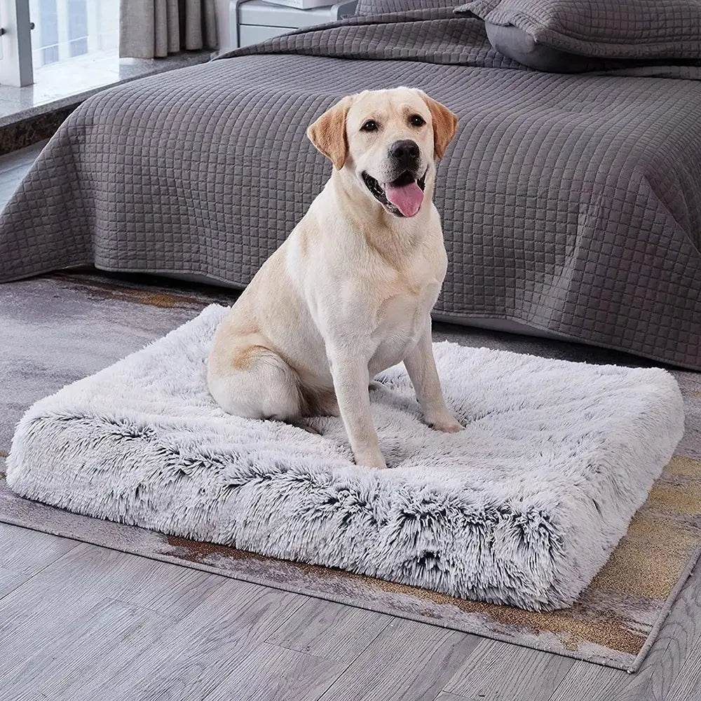 Plush Pooch Bed