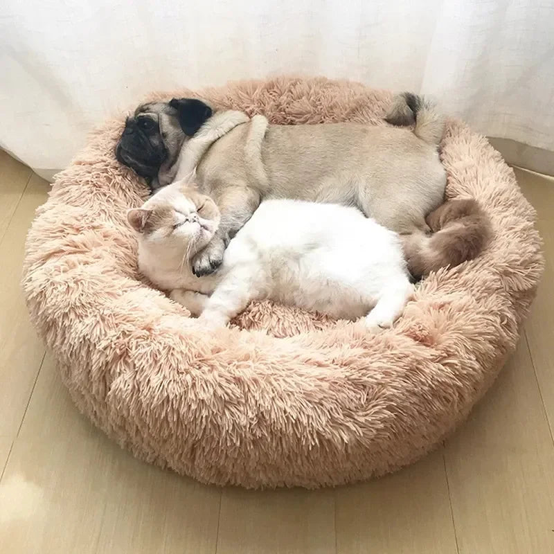 15% OFF! Donut Pet Bed - Small Sizes