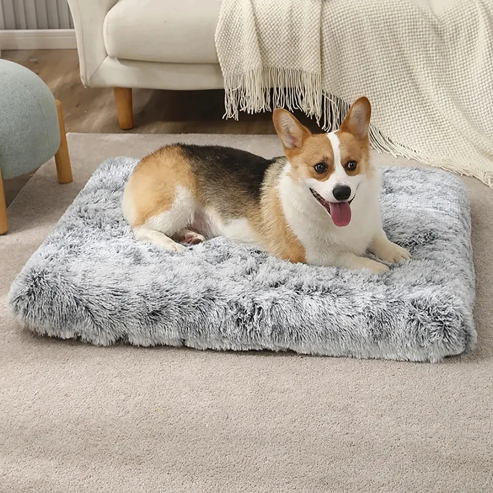 Plush Pooch Bed